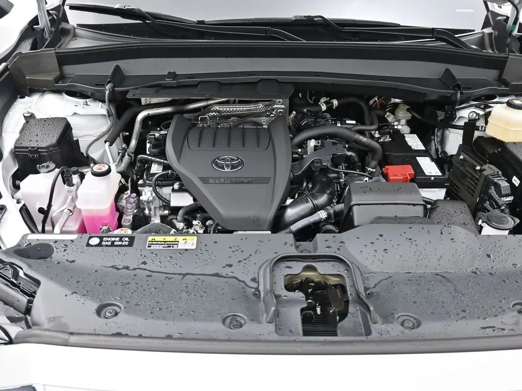 image-19