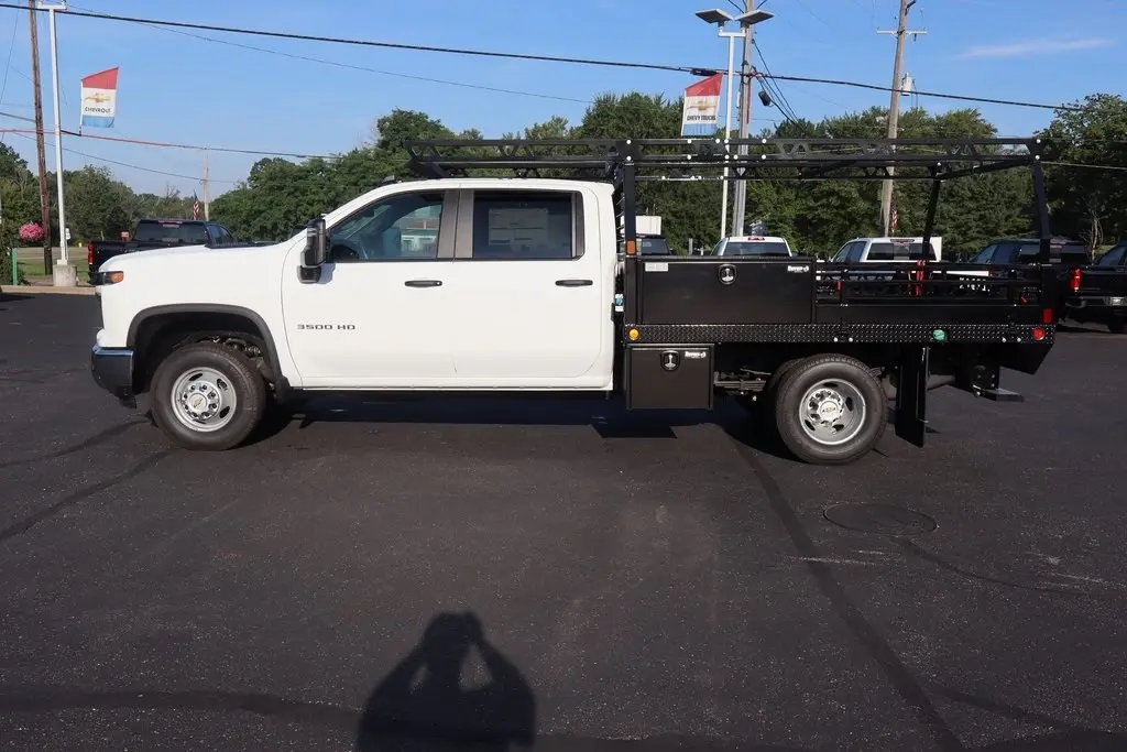 image-19