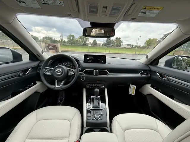 image-12