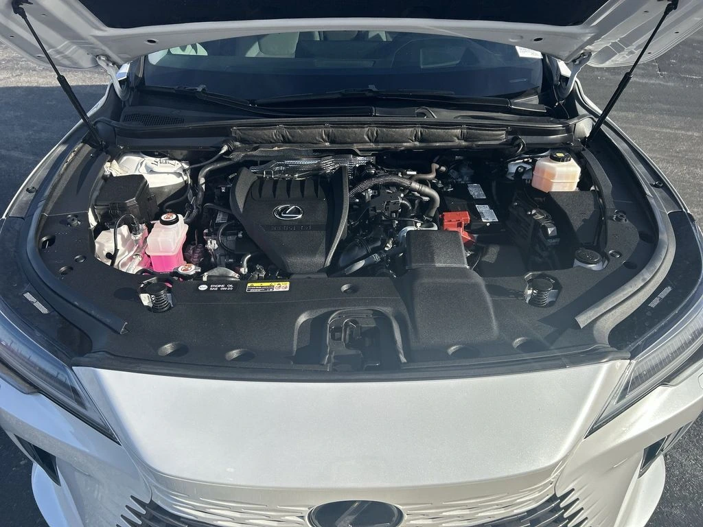 image-13