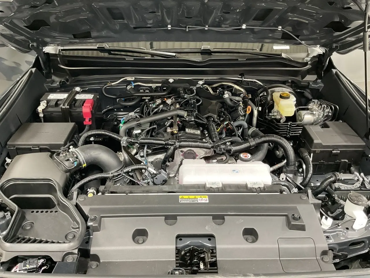 image-19