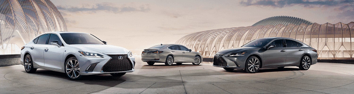 Expert Auto Service From Your Lexus Dealer