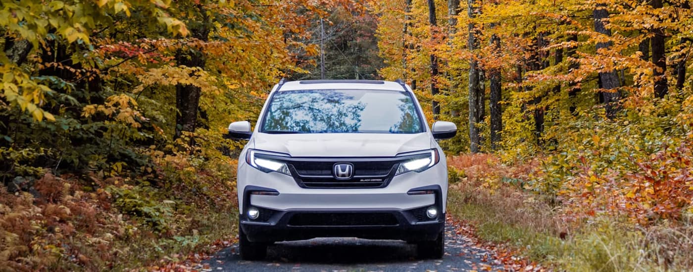 A white 2021 Honda Pilot Black edition is shown from the front parked on a tree lined road.