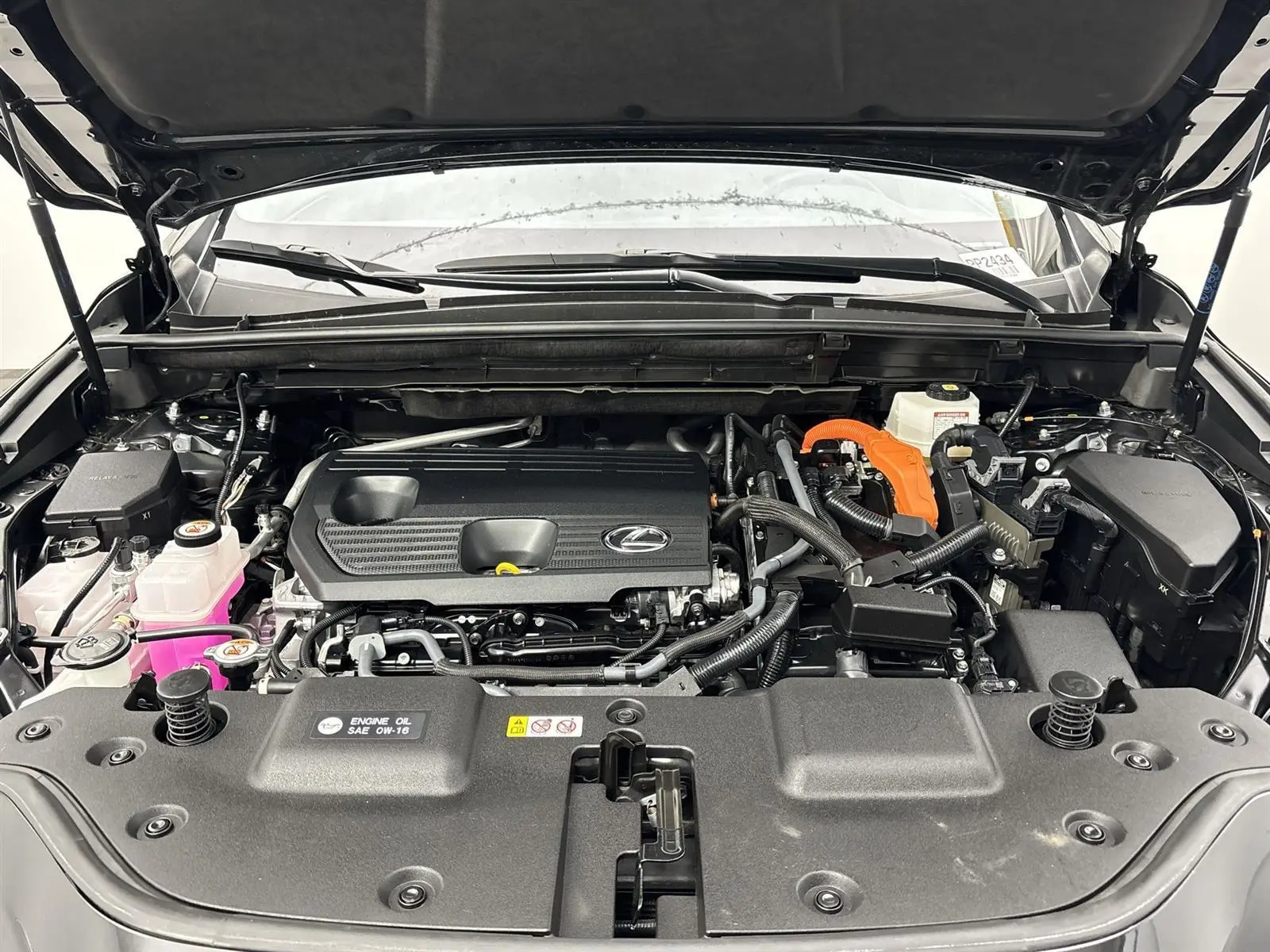 image-19