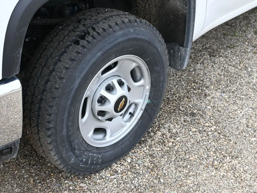 image-11