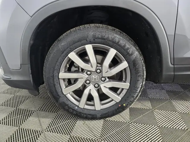 image-19