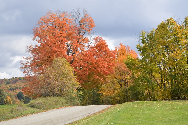 Fall Foliage on a back road