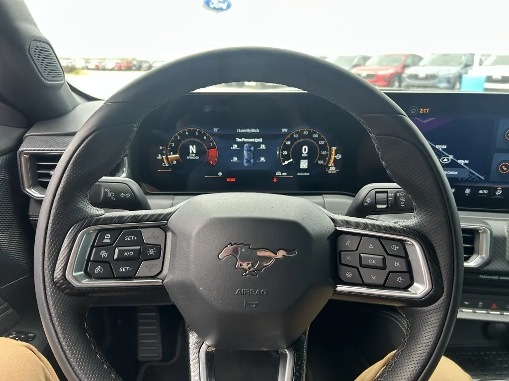 image-19