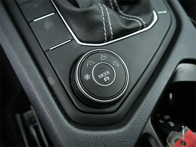 image-19