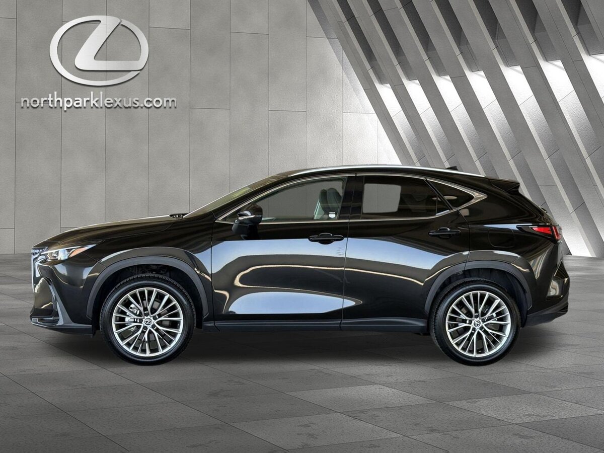 2025 Lexus NX 350 Premium
