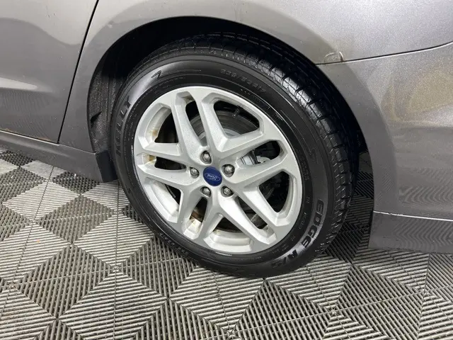 image-6