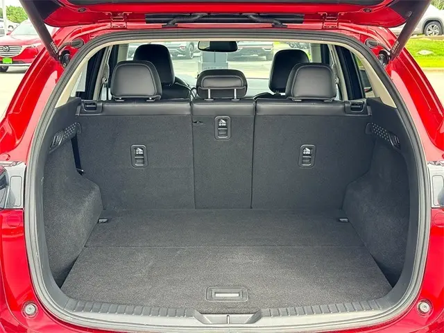 image-9