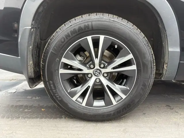 image-19