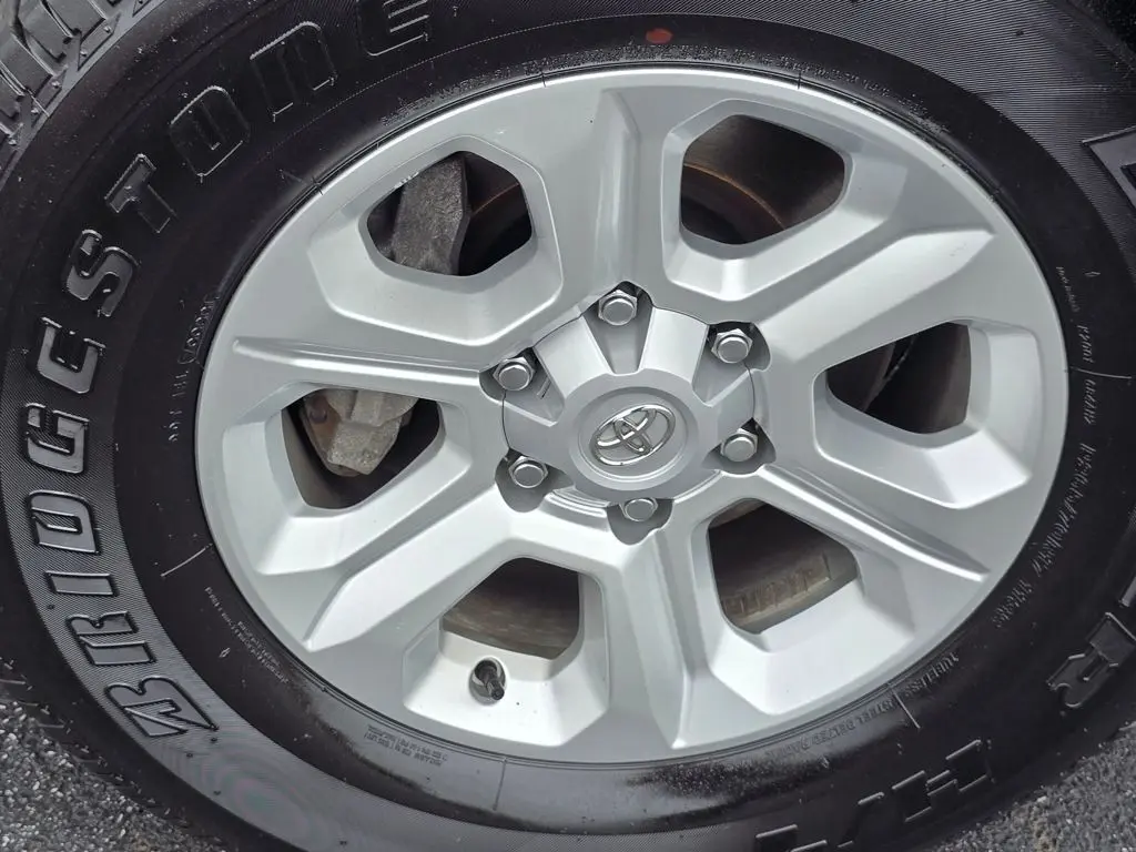 image-7