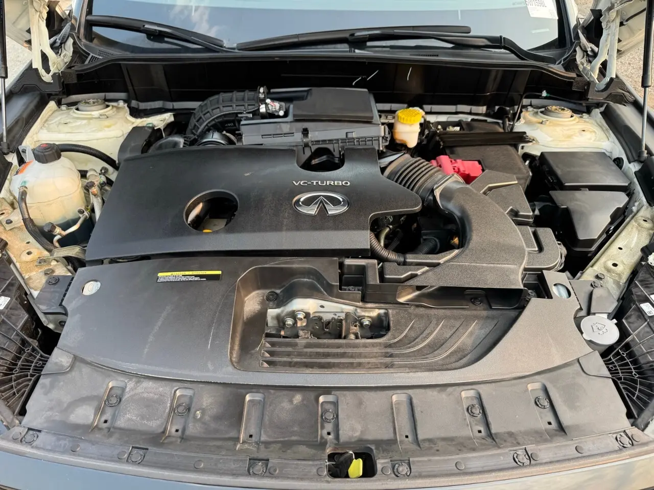 image-19
