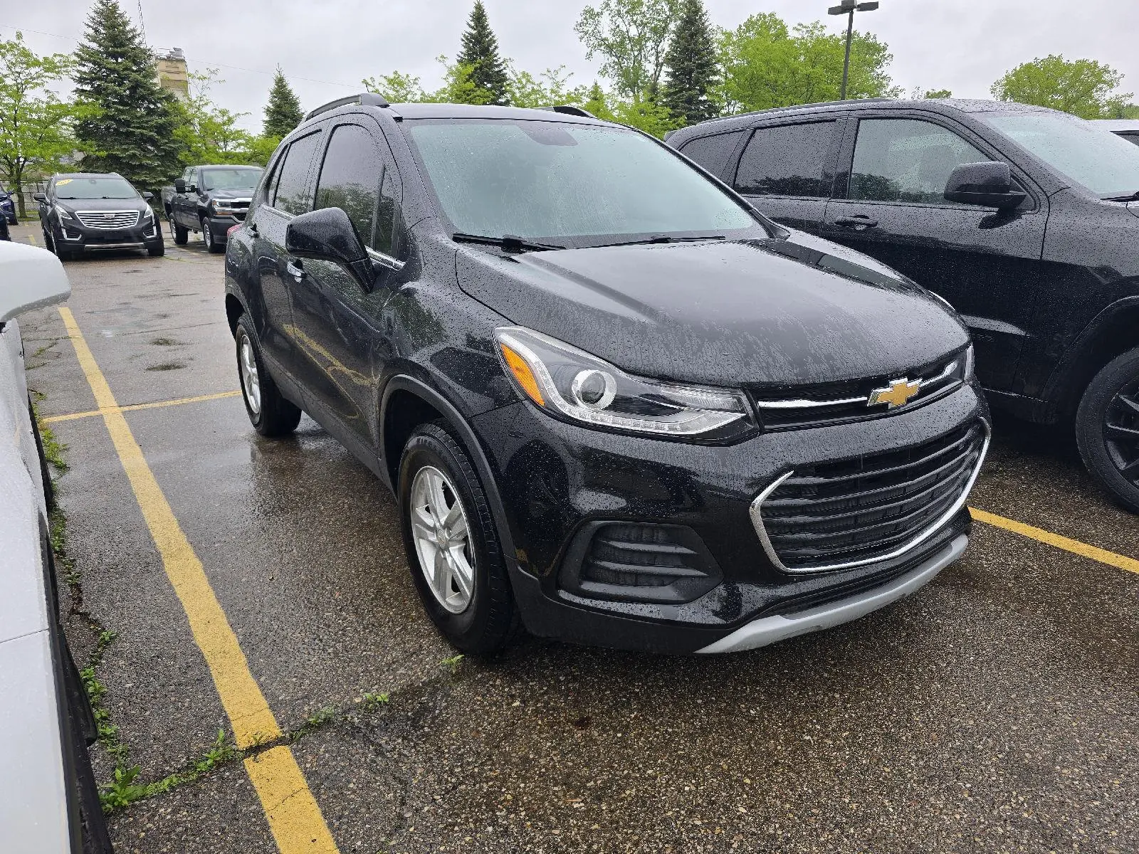 image-1