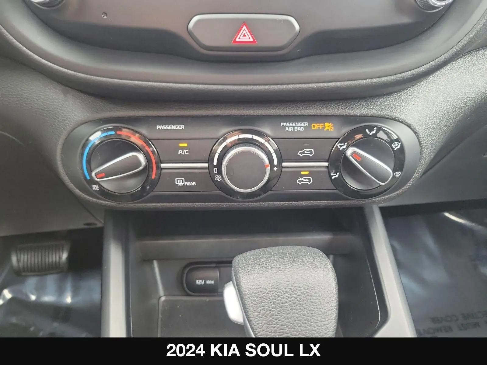 image-19