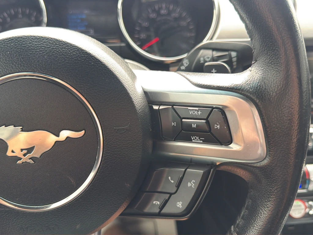2015 Ford Mustang EcoBoost - Photo 17