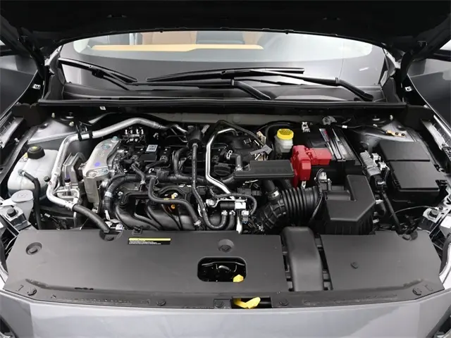 image-19