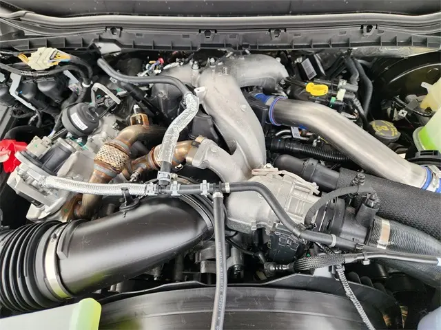 image-19