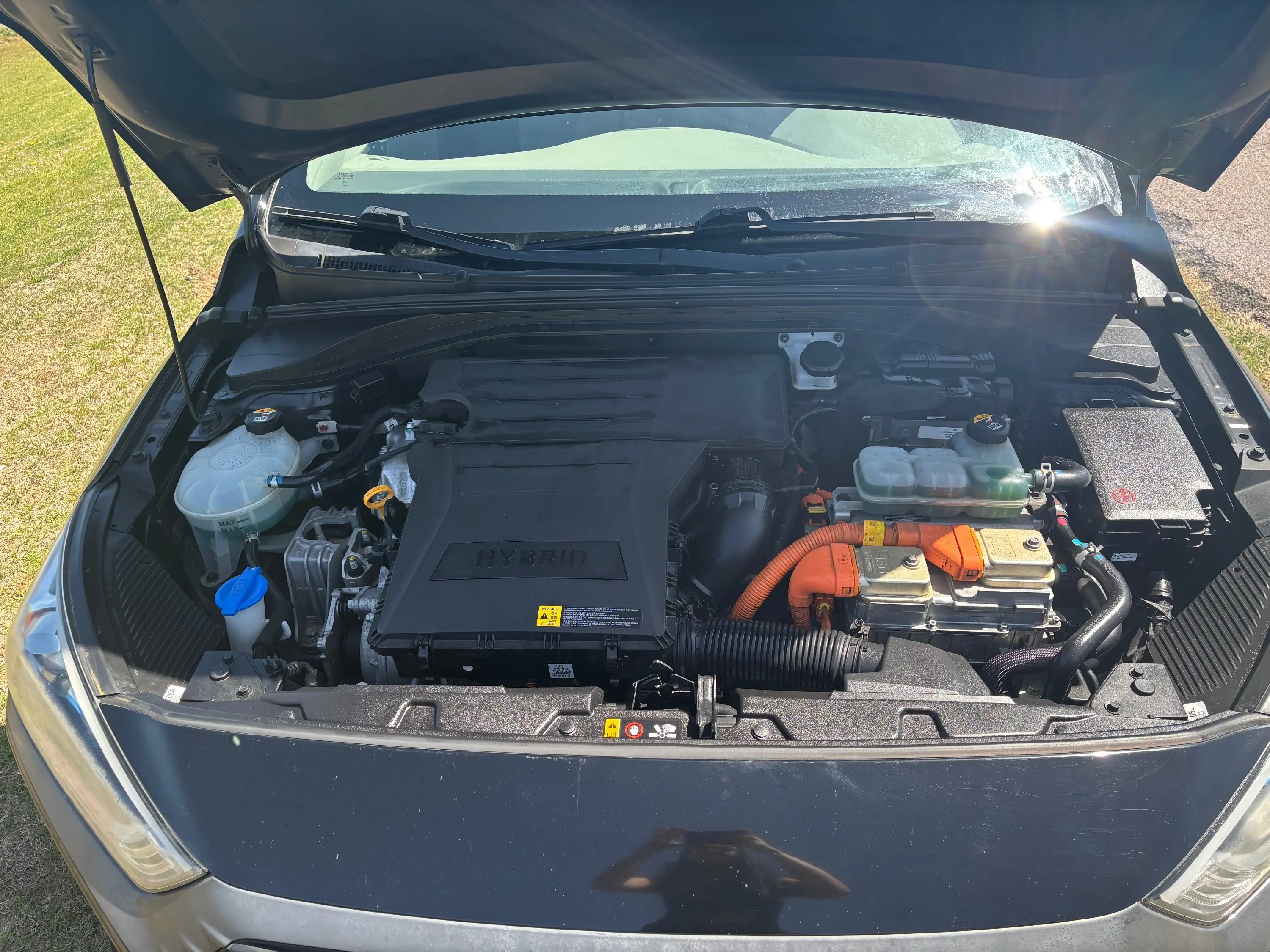 image-12