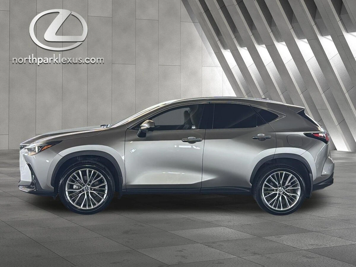2025 Lexus NX