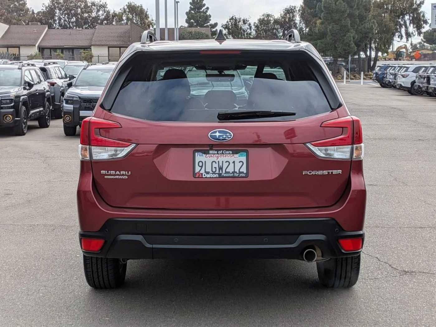 Rear of the red used 2024 Subaru Forester Limited showing the Forester and AWD badges, at Dalton Subaru National City