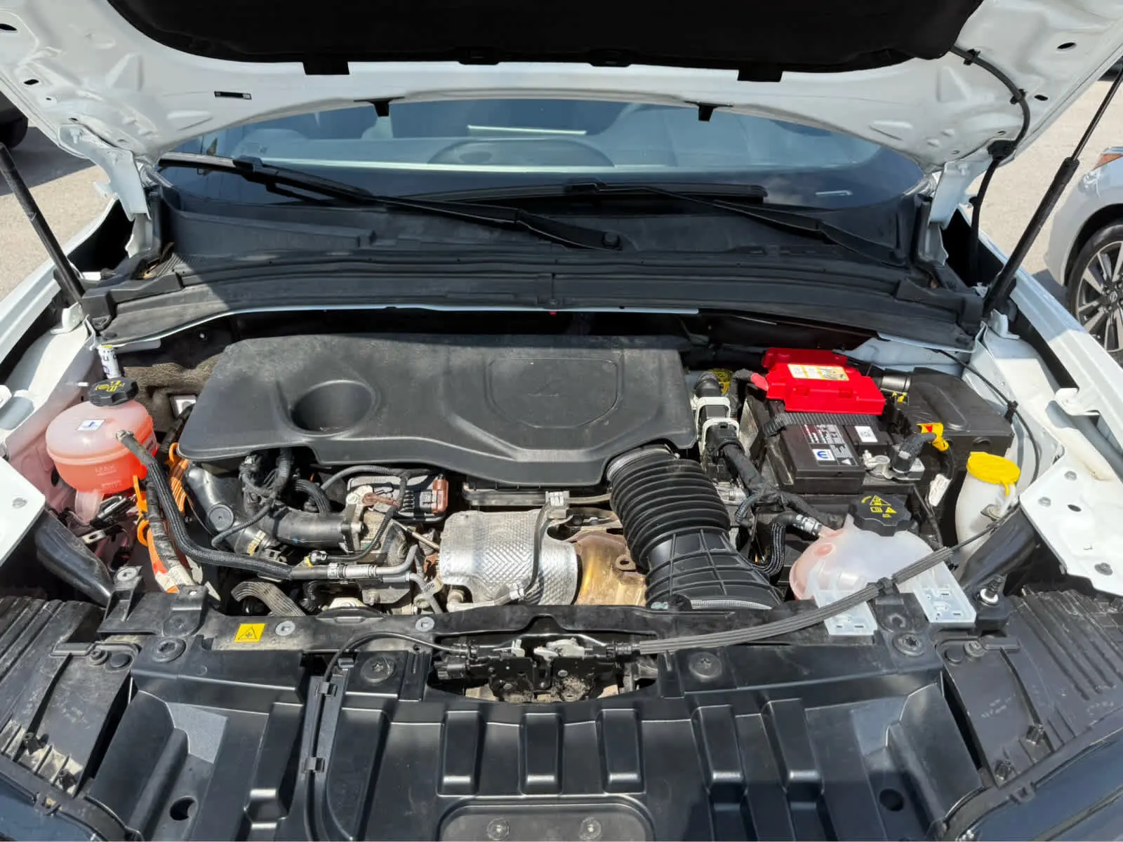 image-3