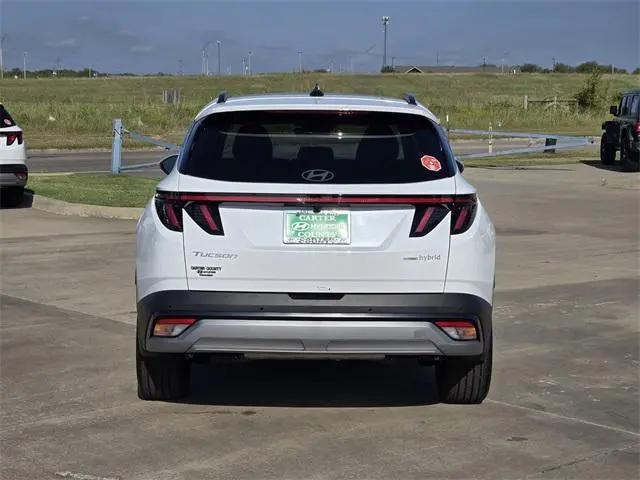 image-4