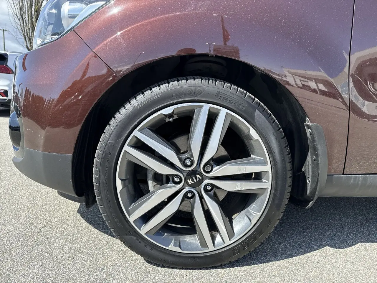 image-9