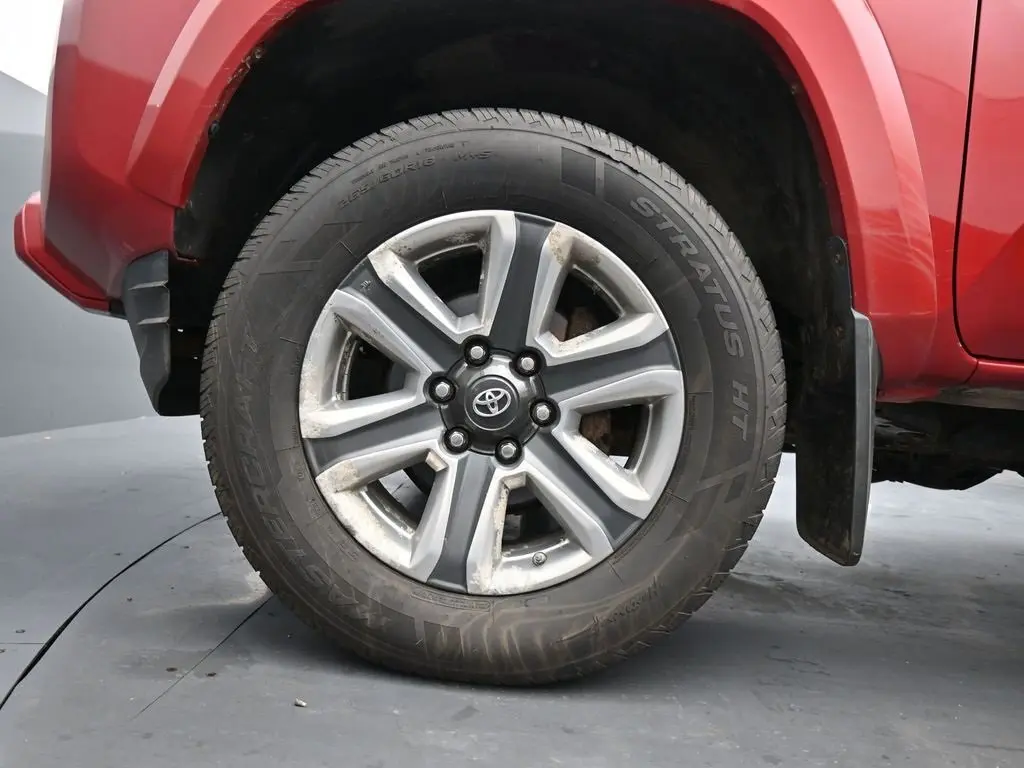 image-11