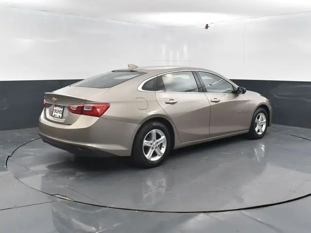 image-7