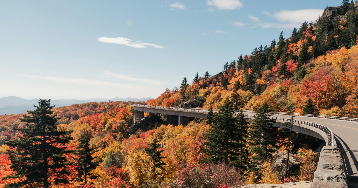 Blue Ridge Parkway in autumn