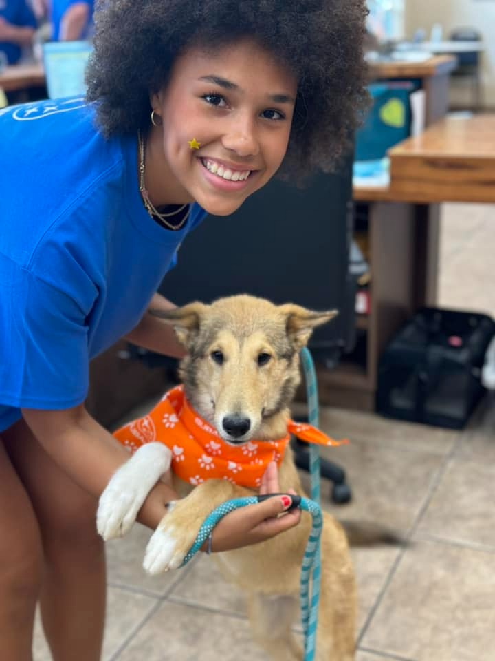 Dog Days of Summer adoption event at Fletcher Subaru
