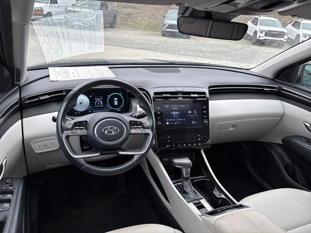 image-10