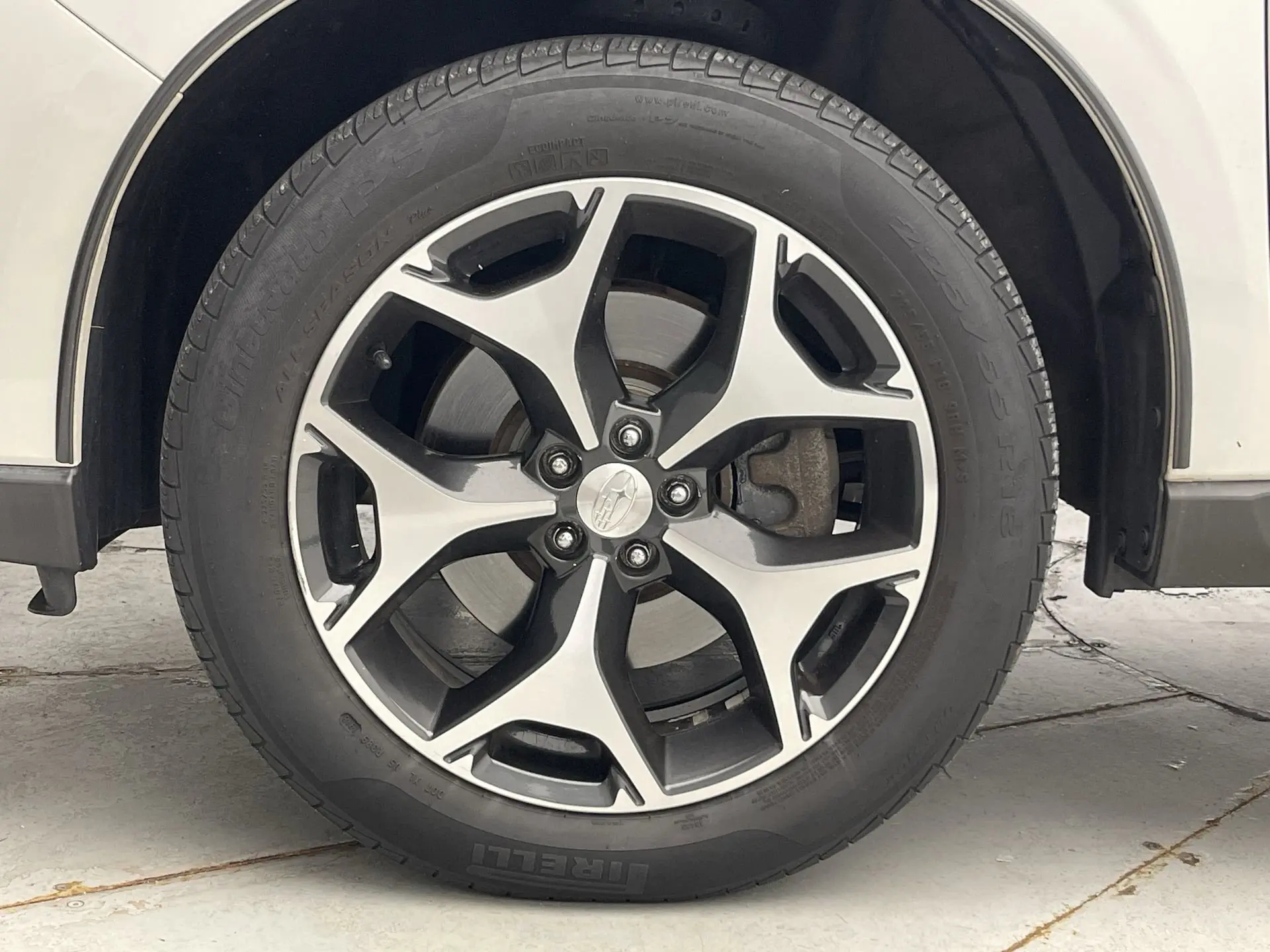 image-11