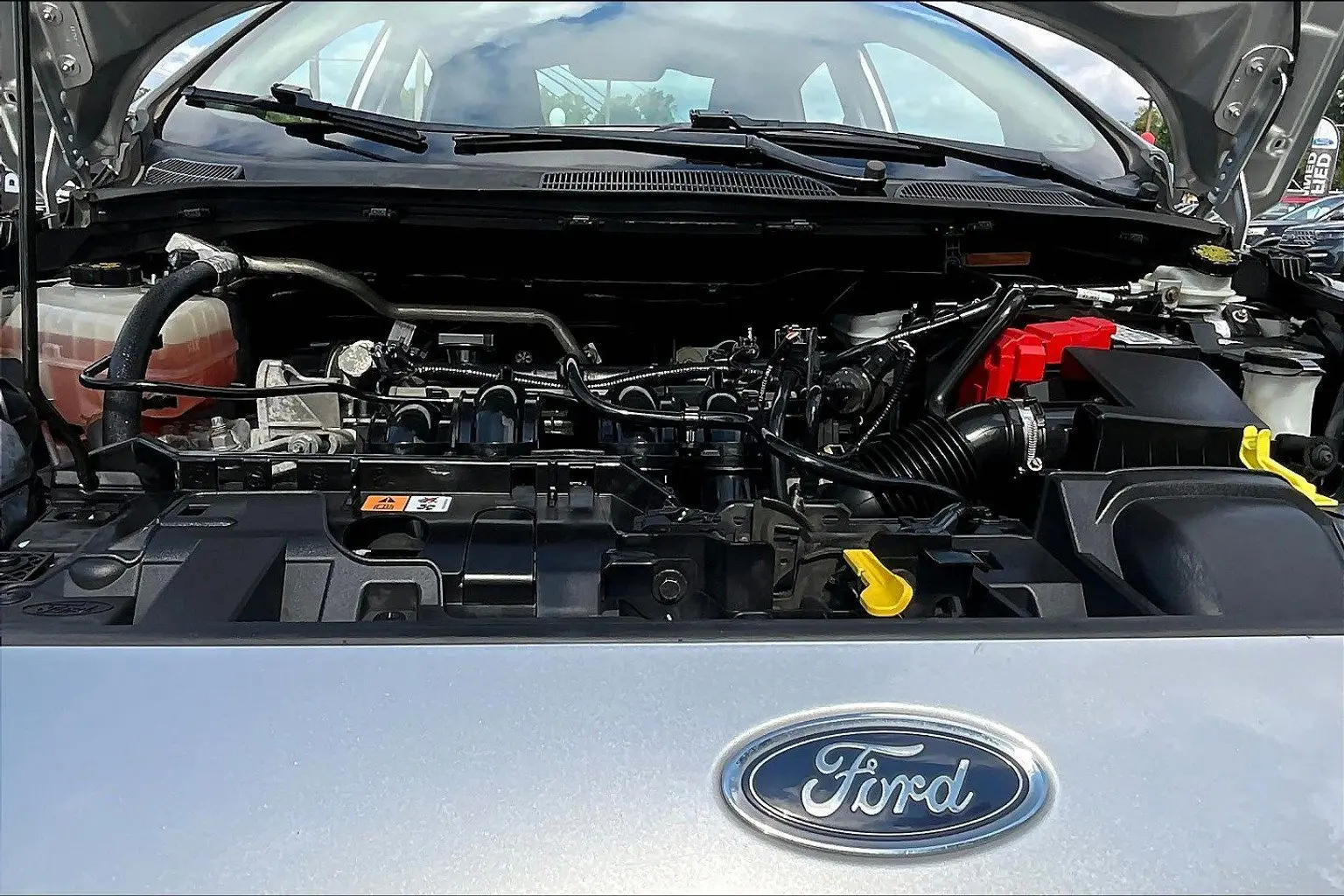 image-7