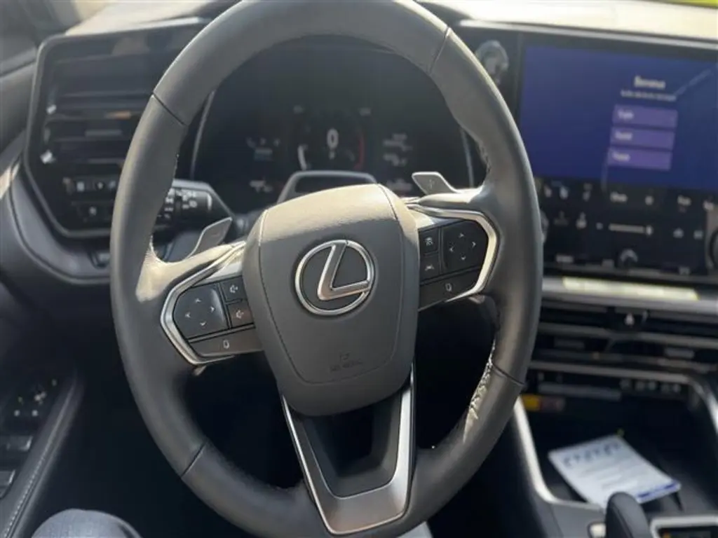 2025 Lexus TX 350 Luxury photo 13