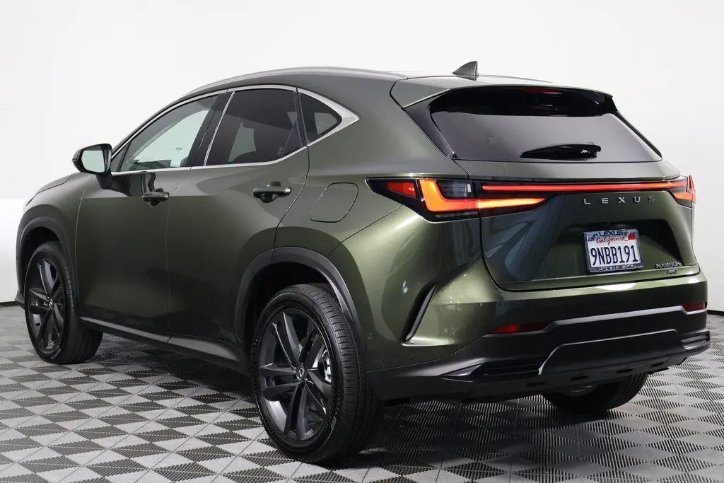2025 Lexus NX 450h+ Luxury photo 6