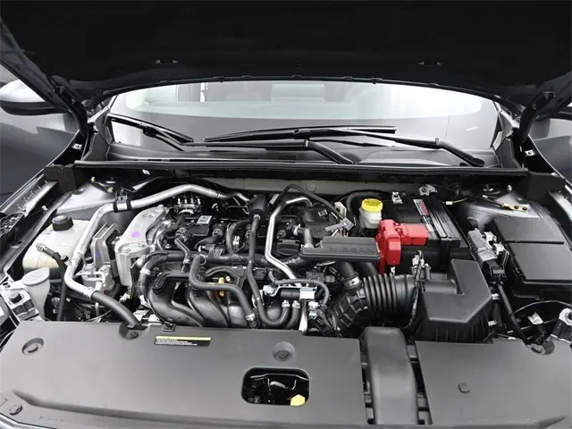 image-10