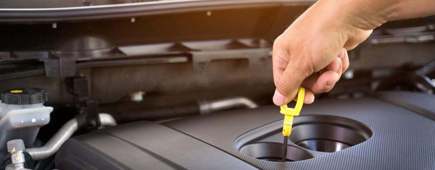 A person is shown holding a dipstick during an oil change in Rochester