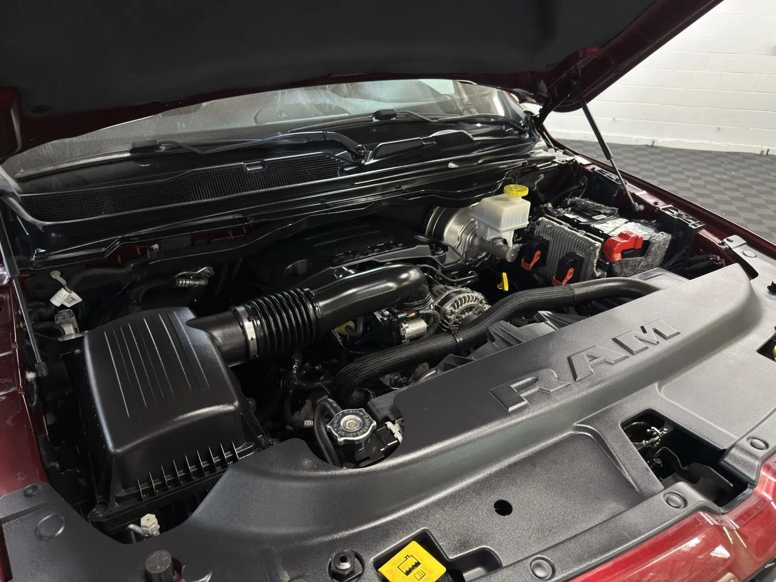 image-7