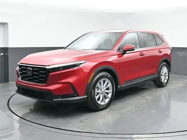 image-4