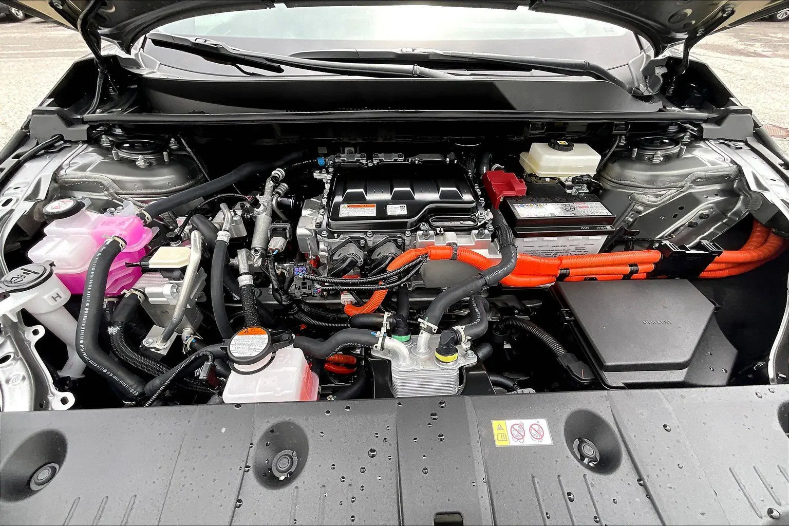 image-12