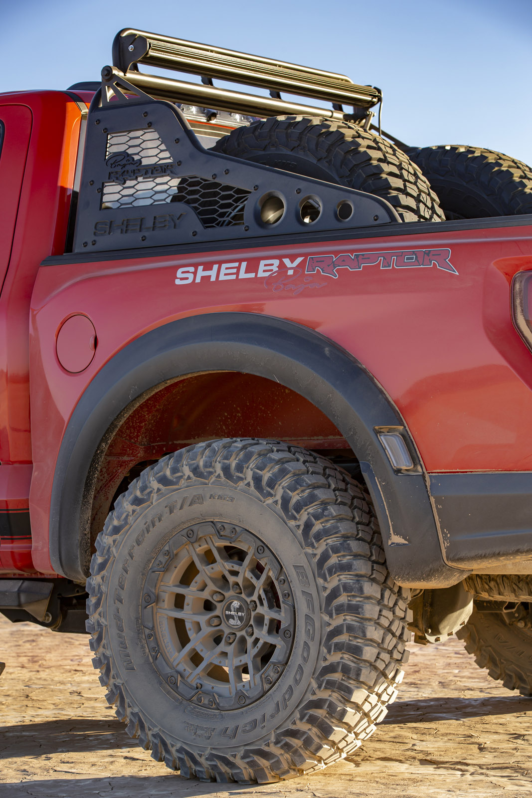 Shelby Raptor Baja Branding