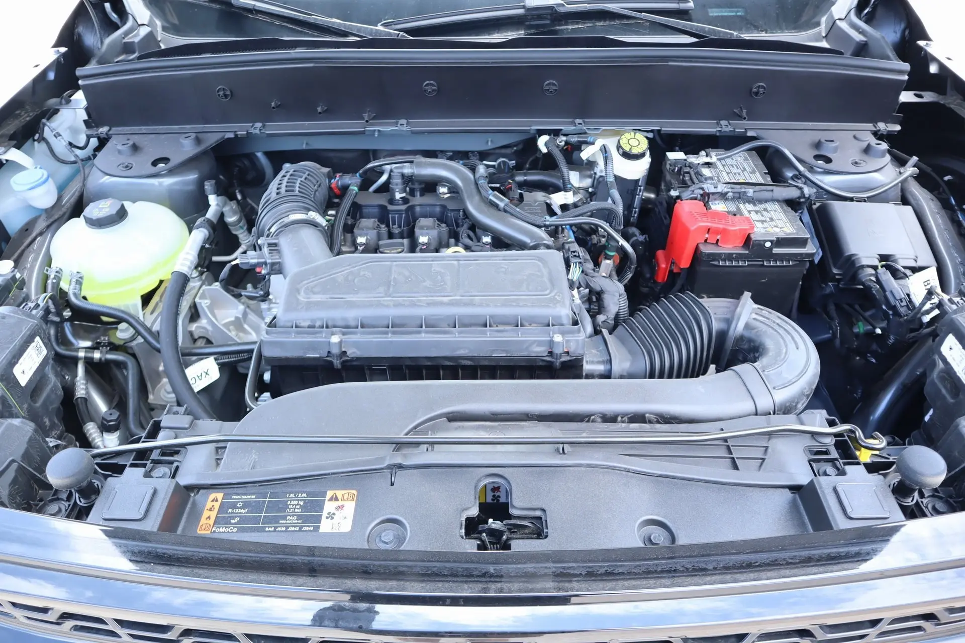 image-19