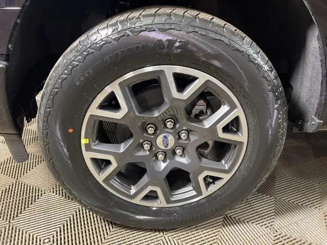 image-7