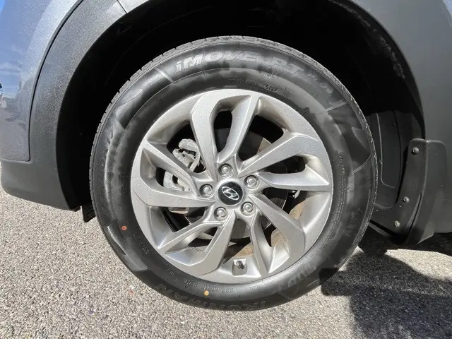 image-7