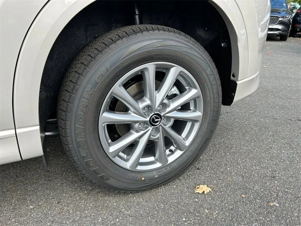 image-8