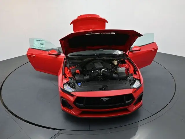 image-33